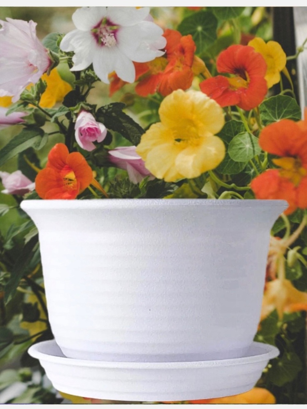 6” Plastic Round Drainage Plant Pot Saucer Tray White Outdoor Indoor flowers NEW